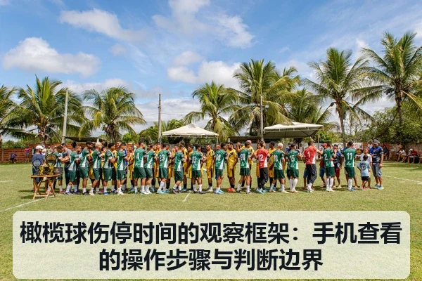 橄榄球伤停时间的观察框架：手机查看的操作步骤与判断边界